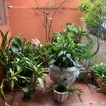 Edicula Tranquila E Bem Localizada No Butanta