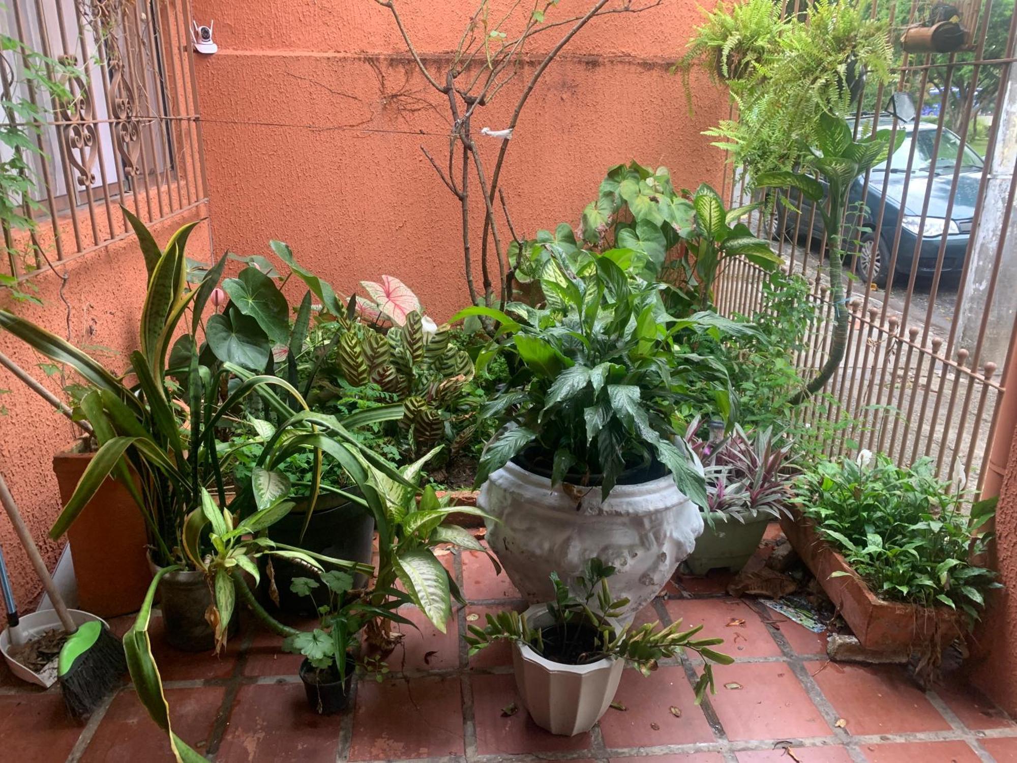 Casa de férias Edicula Tranquila E Bem Localizada No Butanta São Paulo